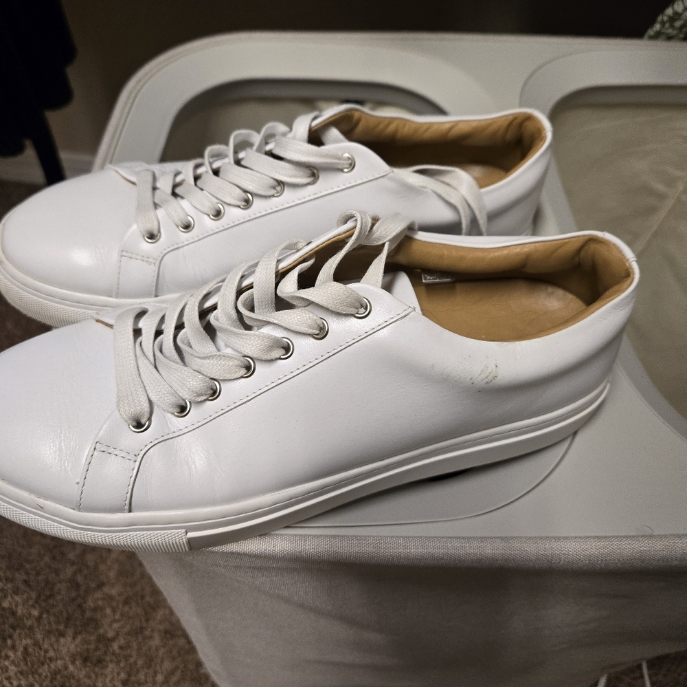 Thursday Boots Co. Women's Premier Low Top